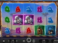 Top Dawg$ Slots